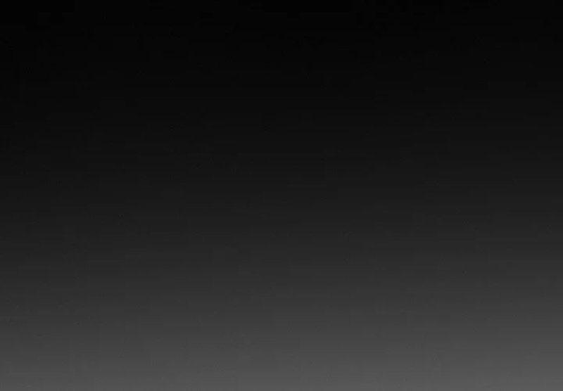 Silhouette Chapter 80